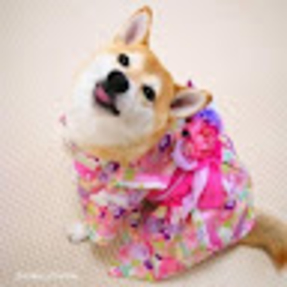 Meet your Posher, Fuzzy